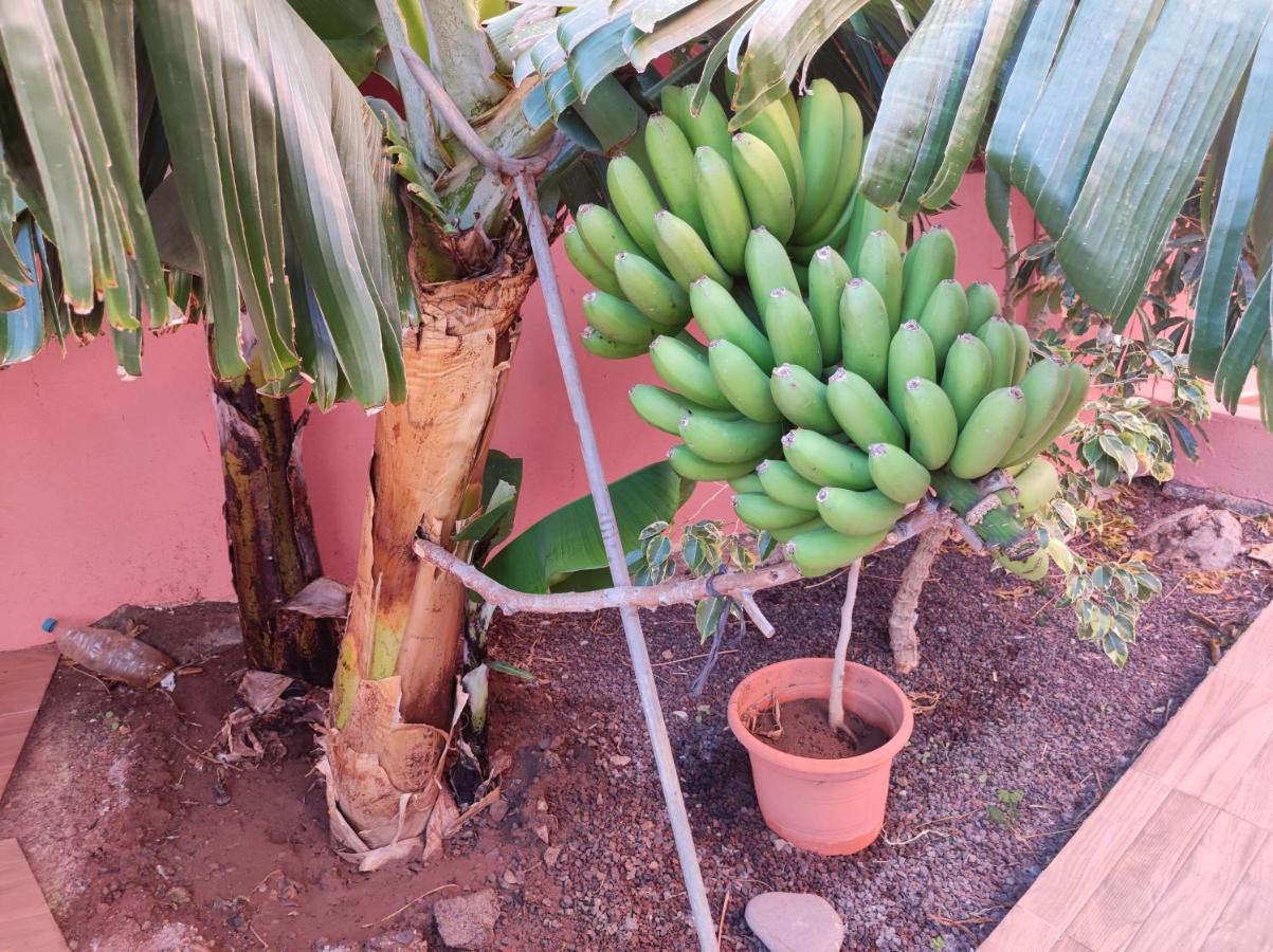 Casita La Gomera San Sebastian De La Gomera Luaran gambar